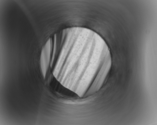 X0000088460017200706191337