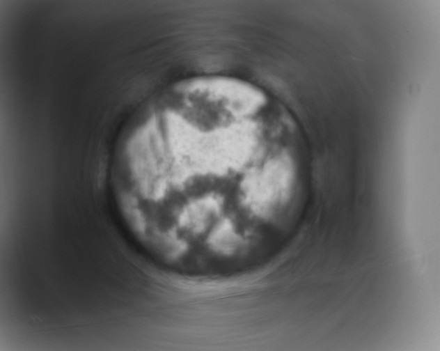 X0000088460018200706191337