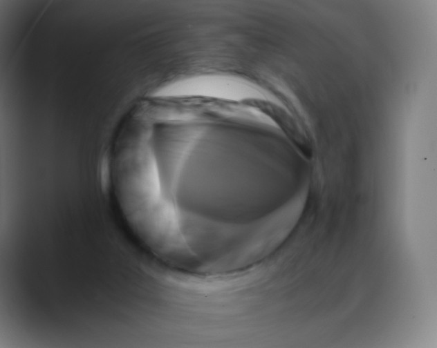 X0000088460019200706191337