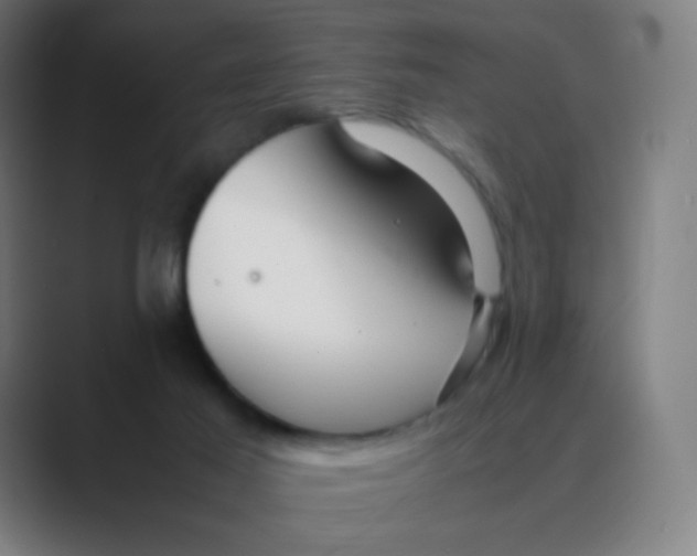X0000088460021200706191337