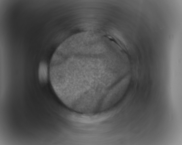 X0000088460022200706191337