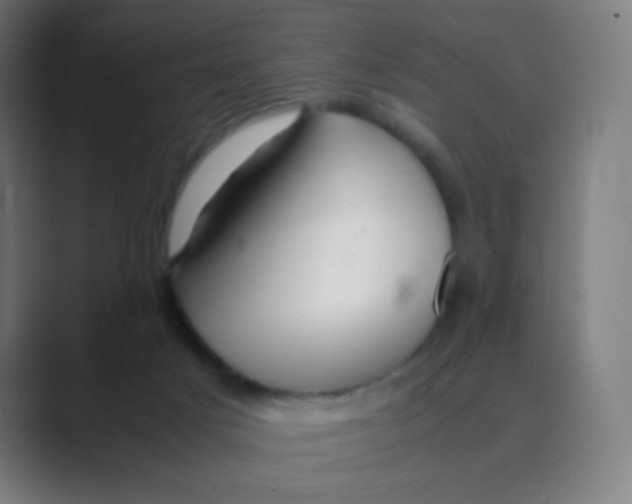 X0000088460025200706191337