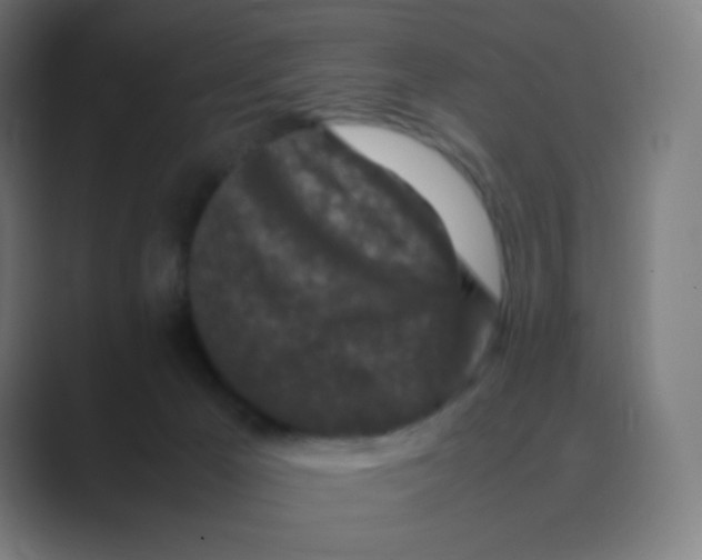 X0000088460029200706191337