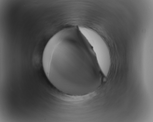 X0000088460031200706191337