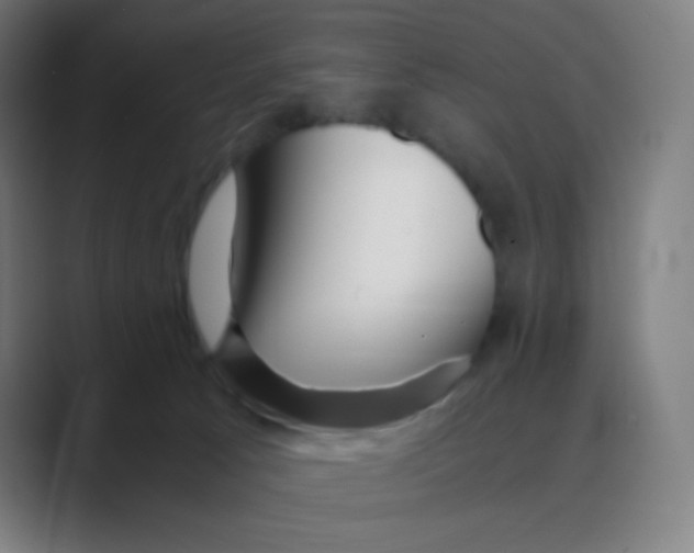 X0000088460033200706191337