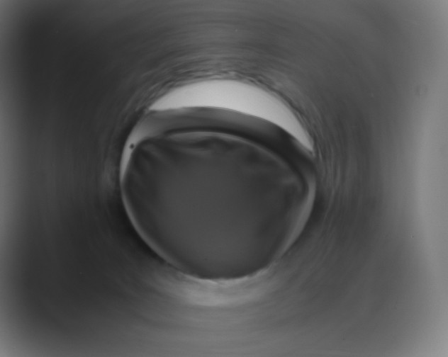 X0000088460035200706191337
