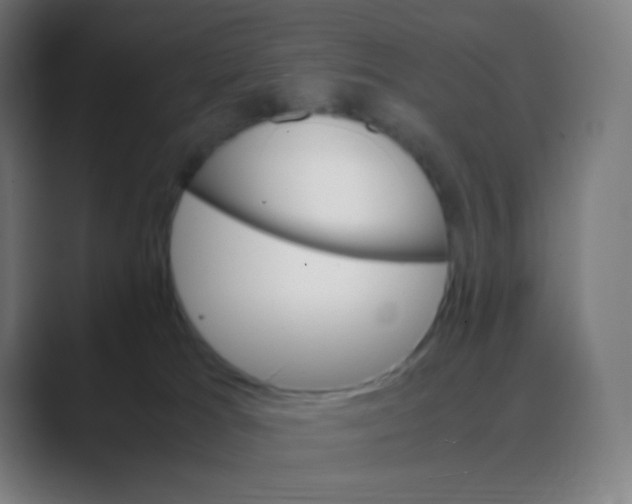 X0000088460037200706191337