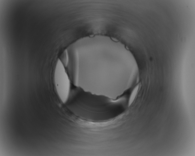 X0000088460039200706191337