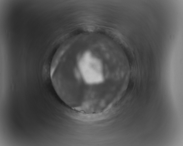 X0000088460043200706191337