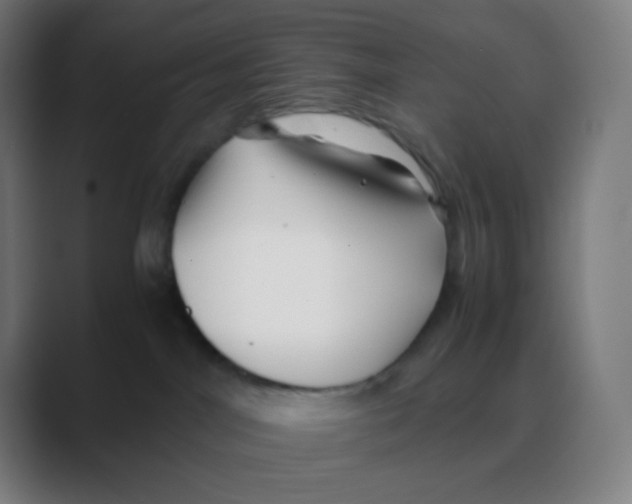 X0000088460044200706191337