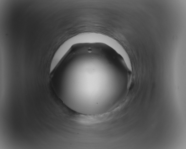 X0000088460045200706191337