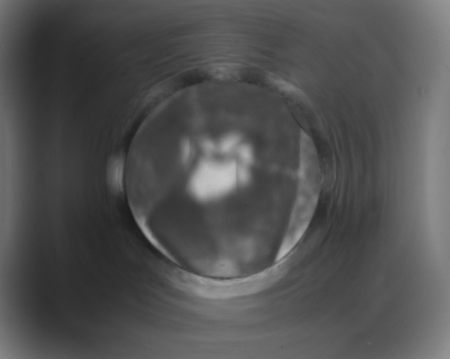 X0000088460047200706191337