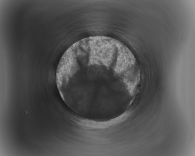 X0000088460048200706191337