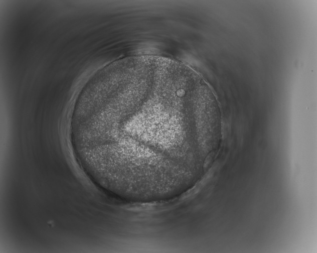 X0000088460049200706191336