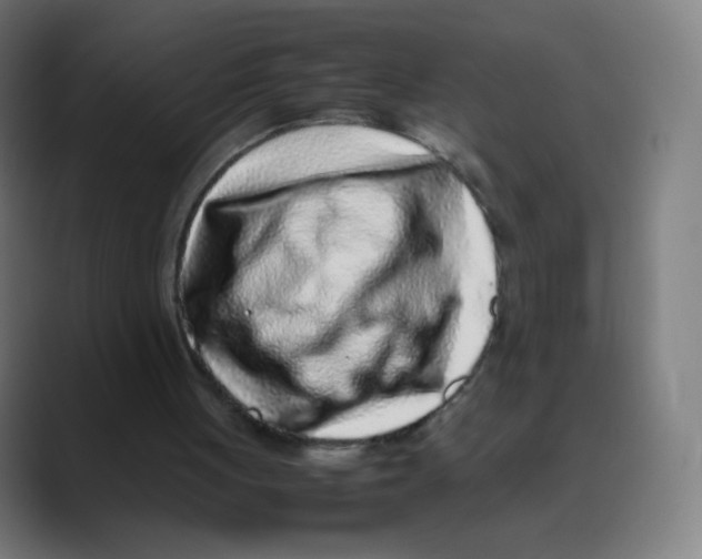 X0000088460051200706191336