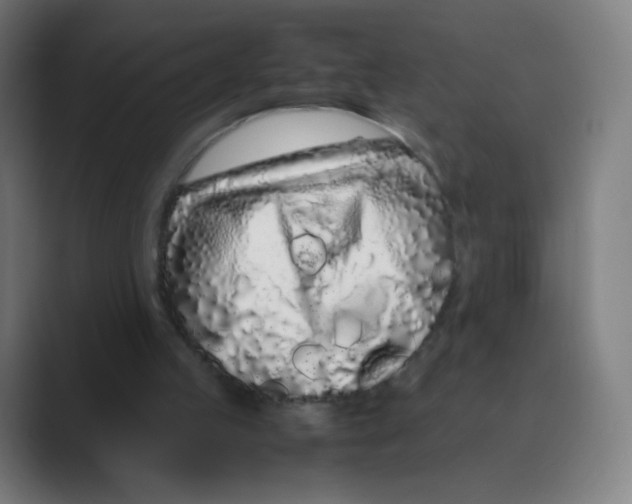 X0000088460053200706191336