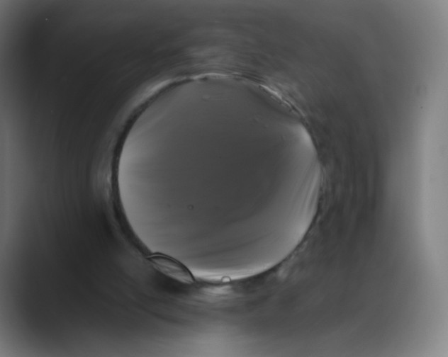 X0000088460054200706191336