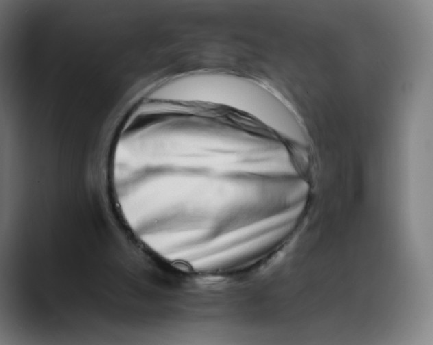 X0000088460055200706191336