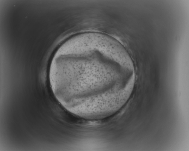 X0000088460056200706191336