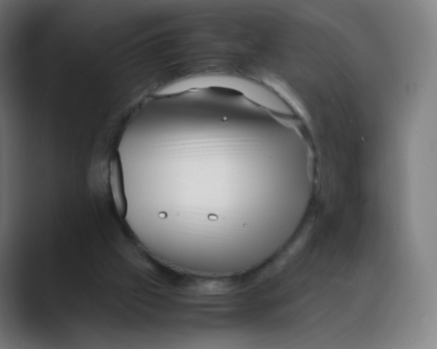 X0000088460057200706191336