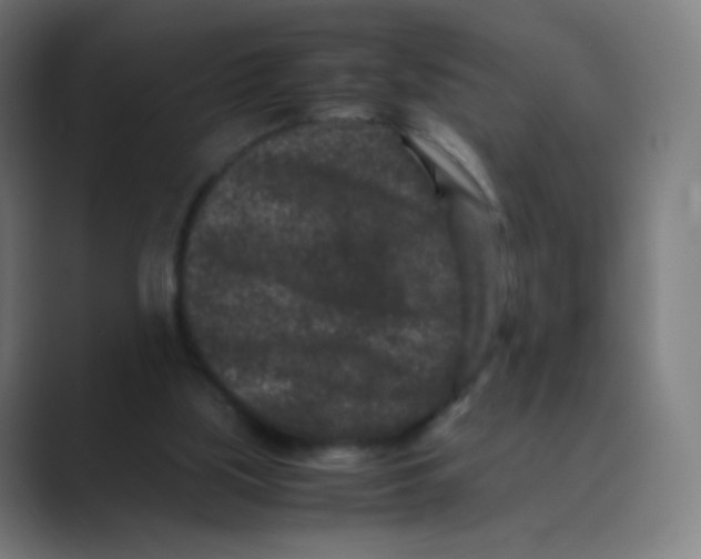X0000088460059200706191336