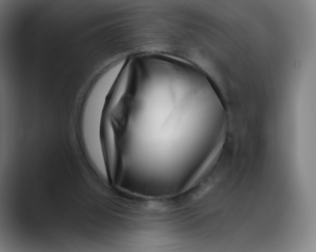 X0000088460060200706191336