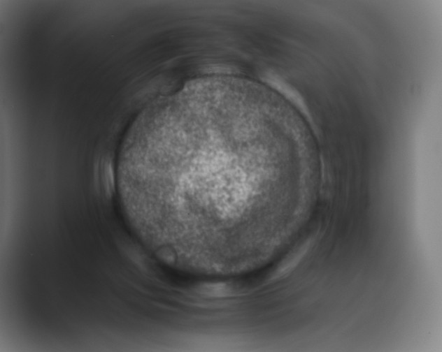 X0000088460061200706191336
