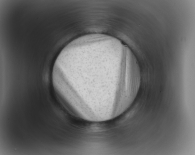 X0000088460064200706191336