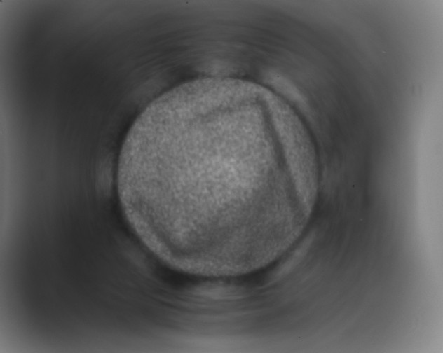 X0000088460065200706191337