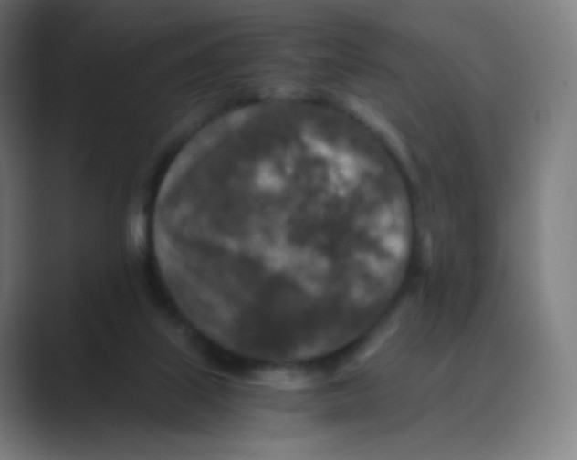 X0000088460067200706191337