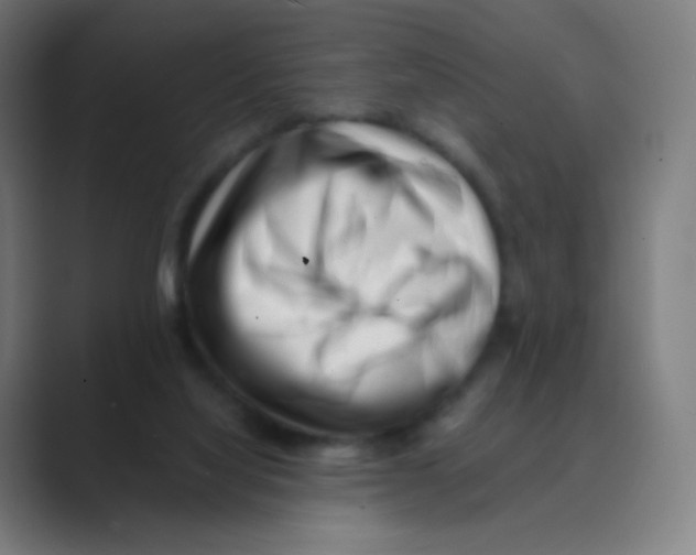 X0000088460068200706191337