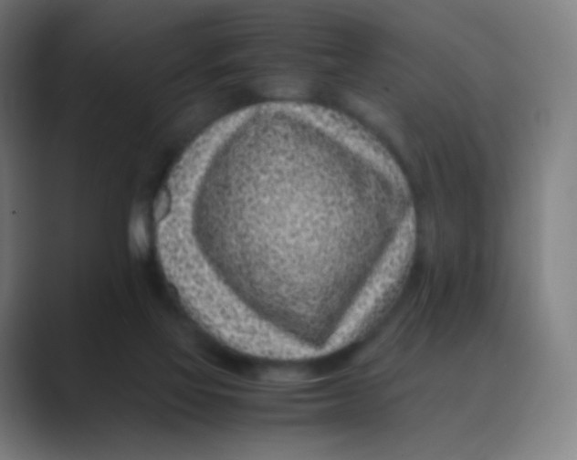 X0000088460069200706191337