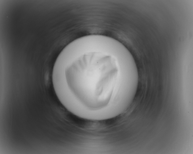 X0000088460074200706191337