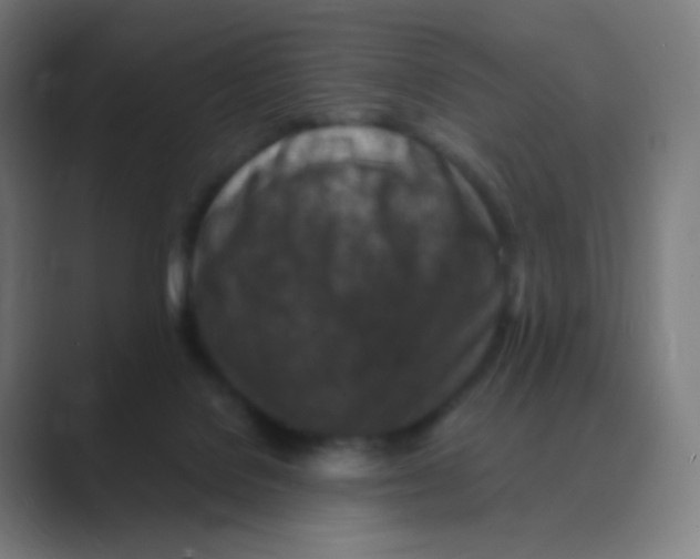 X0000088460076200706191337