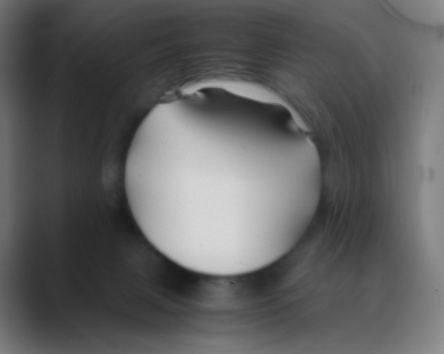 X0000088460079200706191337