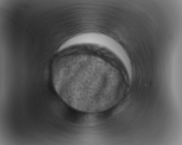 X0000088460080200706191337