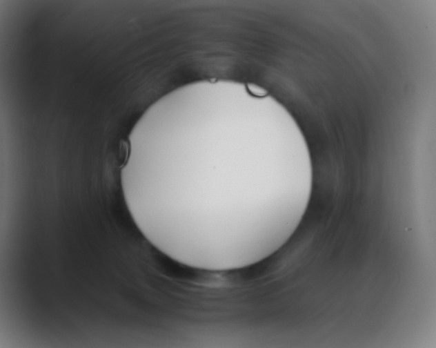 X0000088460083200706191337