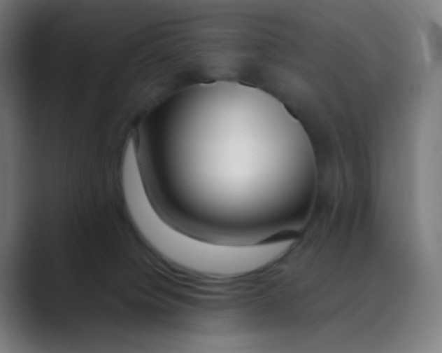 X0000088460084200706191337