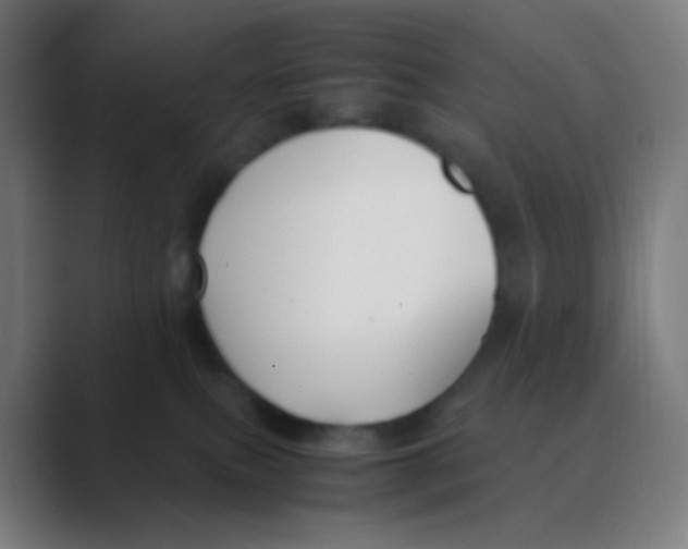 X0000088460087200706191337