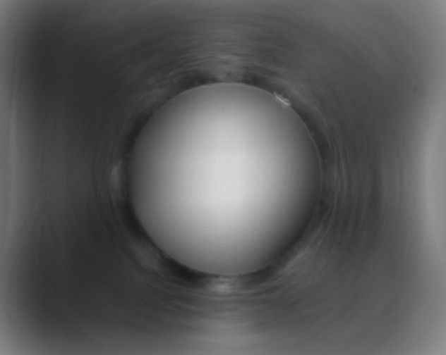X0000088460088200706191337