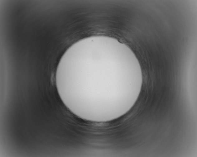X0000088460089200706191337