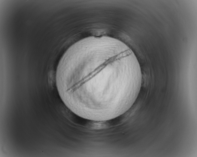 X0000088460093200706191337