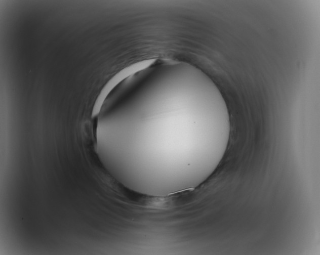 X0000088460096200706191337