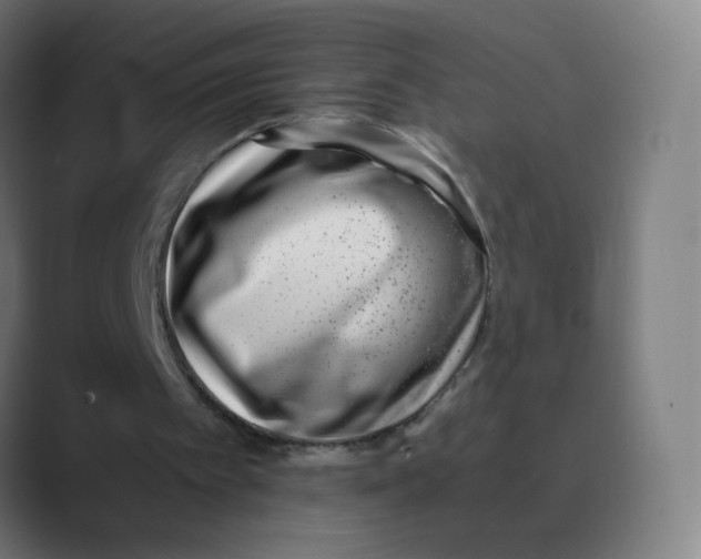 X0000088460097200706191336