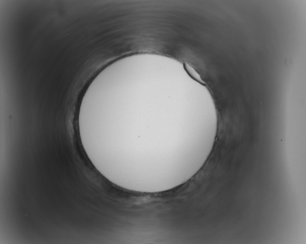 X0000088460098200706191336