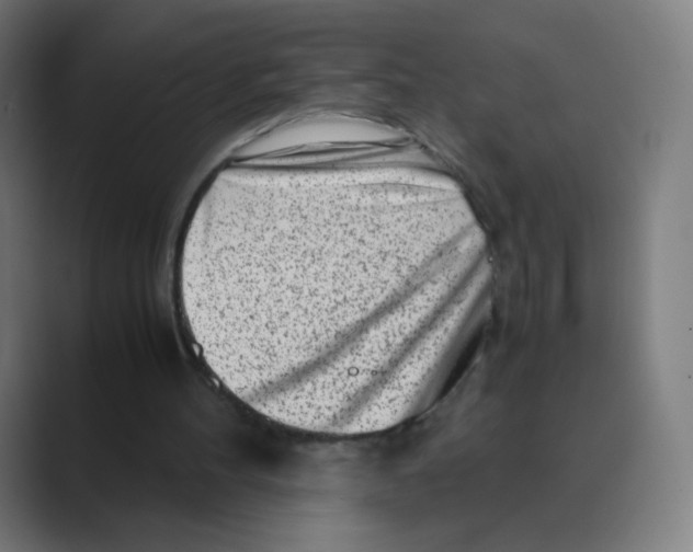 X0000088460100200706191336