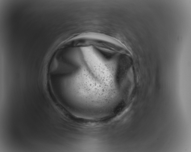 X0000088460101200706191336