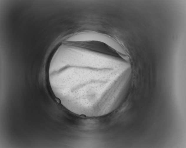 X0000088460102200706191336