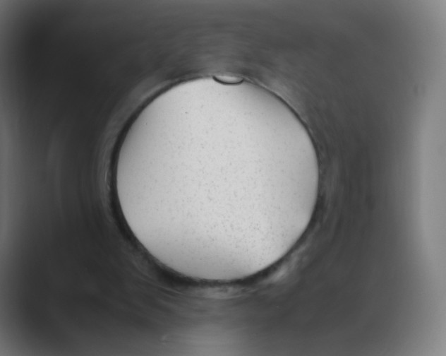 X0000088460103200706191336