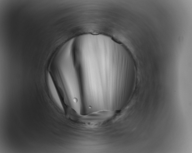 X0000088460105200706191336